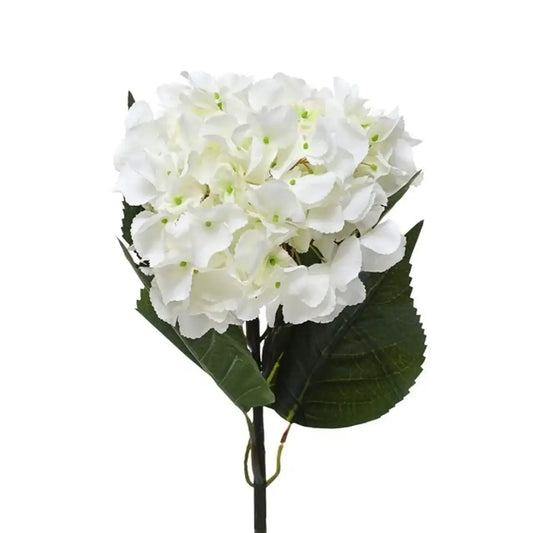 Cream Hydrangea Extra Large