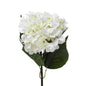Cream Hydrangea Extra Large