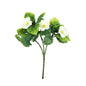 UV Exterior Cream Junglist Pansy Bush (21cm)