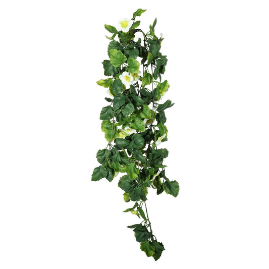 Discover the UV Exterior Pansy Trailing Bush (68cm) at Bristow Direct