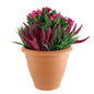 Pink Impatiens &amp; Heather Patio Planter