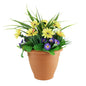 Yucca Primula Patio Planter
