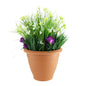 Starflower &amp; Snowdrop Patio Planter