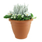 White Erica  Primrose Patio Planter