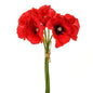 Red Poppy Bouquet