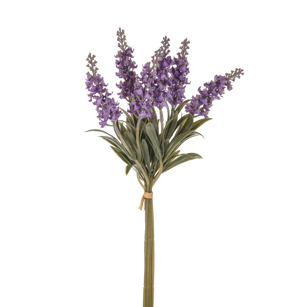 Discover the Lavender Purple In Bloom Bundle Purple at Bristow Direct