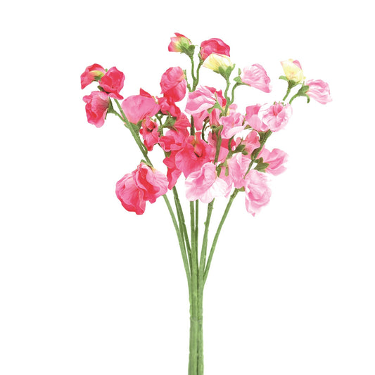 Discover the Pink Sweetpea Bunch at Bristow Direct