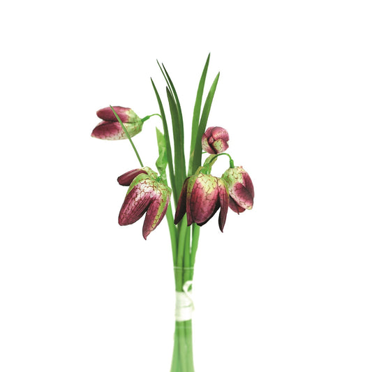 Burgundy Fritillaria Bunch