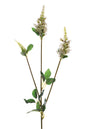 Cream Physostegia Spray (63cm)