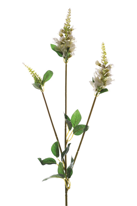 Cream Physostegia Spray