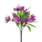 Purple Crocus Bush (23cm)