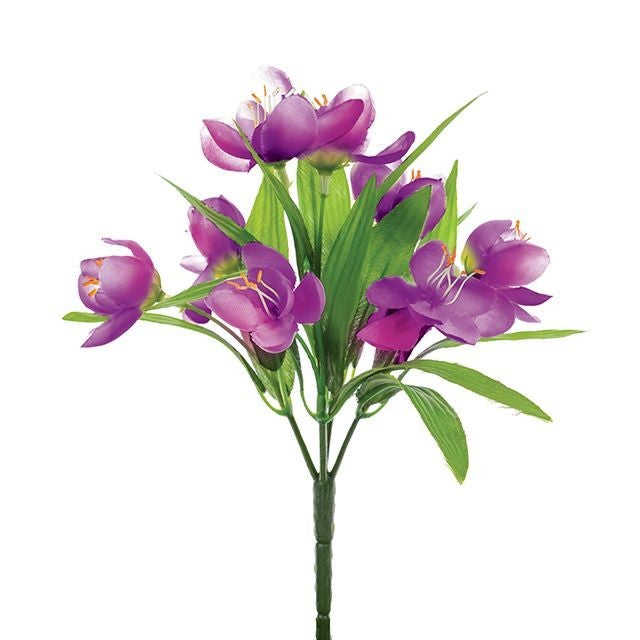 Purple Crocus Bush