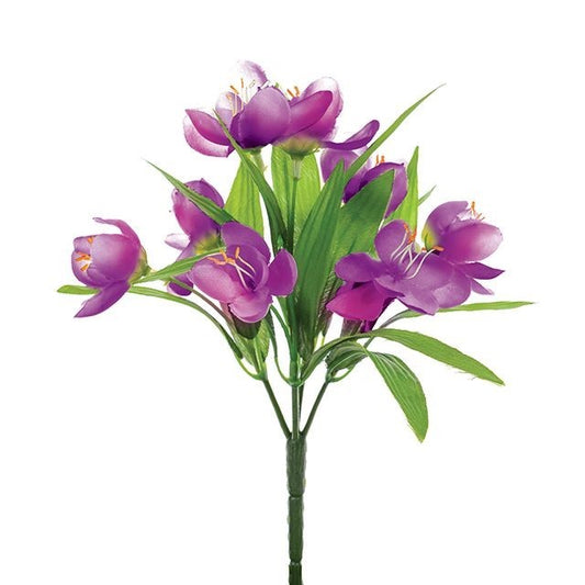 Purple Crocus Bush