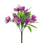 Purple Crocus Bush