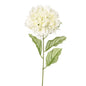 Ivory Dawn Hydrangea (72cm)
