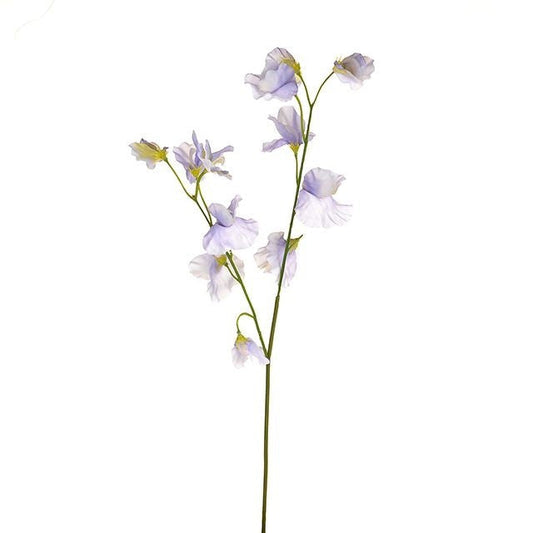 Lilac Skye Sweetpea (46cm)