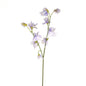 Lilac Skye Sweetpea (46cm)