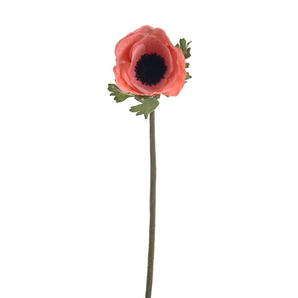 Discover the Coral Olivia Anemone Stem (38cm) at Bristow Direct