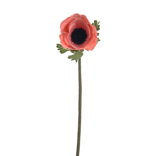 Discover the Coral Olivia Anemone Stem (38cm) at Bristow Direct