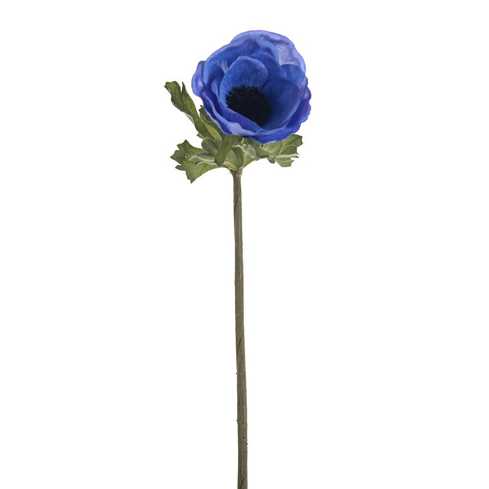 Discover the Blue Olivia Anemone Stem (38cm) at Bristow Direct
