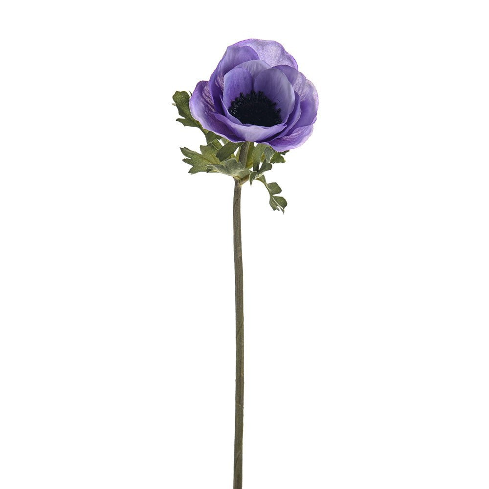 Discover the Lilac Olivia Anemone Stem (38cm) at Bristow Direct