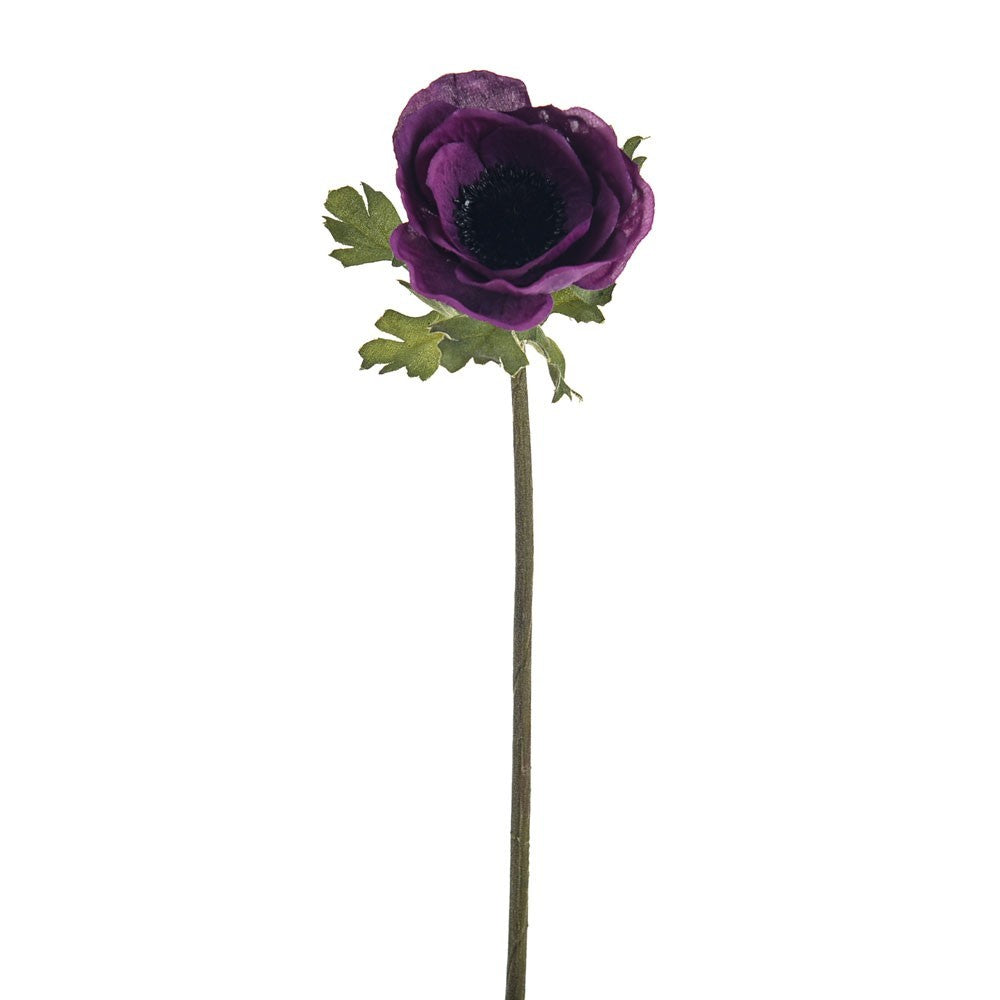 Discover the Purple Olivia Anemone Stem (38cm) at Bristow Direct