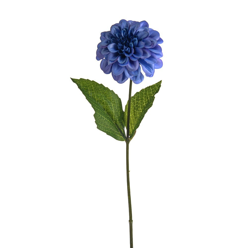 Blue Olivia Zinnia Stem
