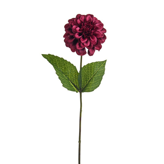 Burgundy Olivia Zinnia Stem