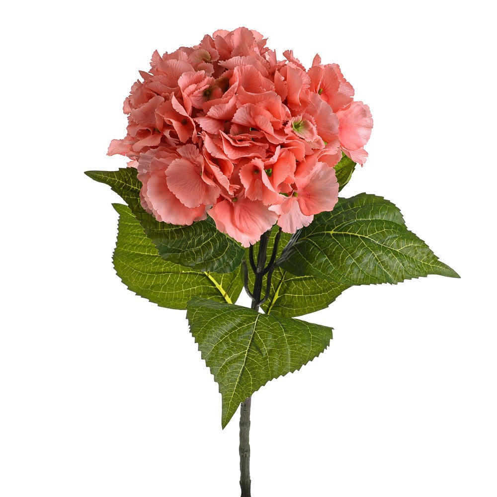 Discover the Coral Olivia Hydrangea Stem (67cm) at Bristow Direct