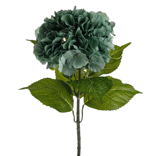 Discover the Green Olivia Hydrangea Stem (67Cm) at Bristow Direct