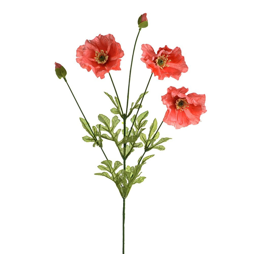 Discover the Coral Olivia Poppy Spray (75cm) at Bristow Direct