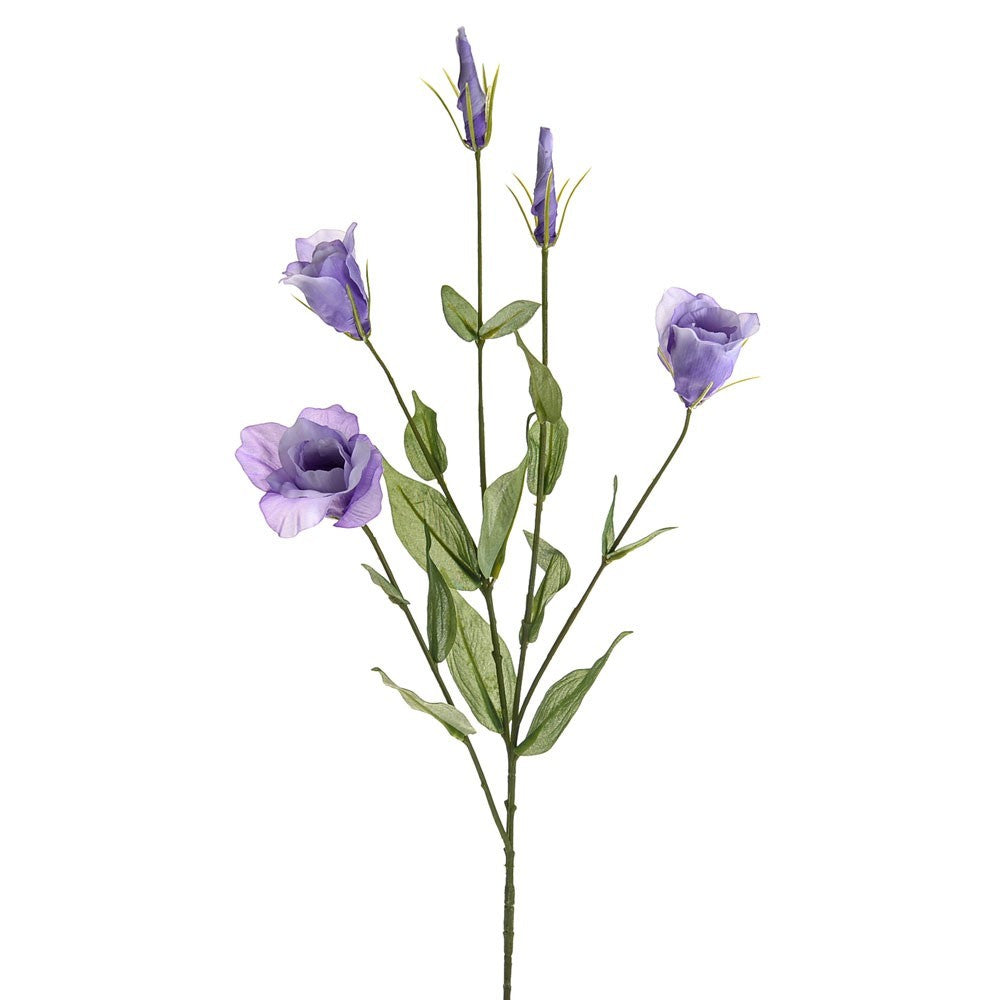Discover the Lilac Olivia Lisianthus Spray (78cm) at Bristow Direct