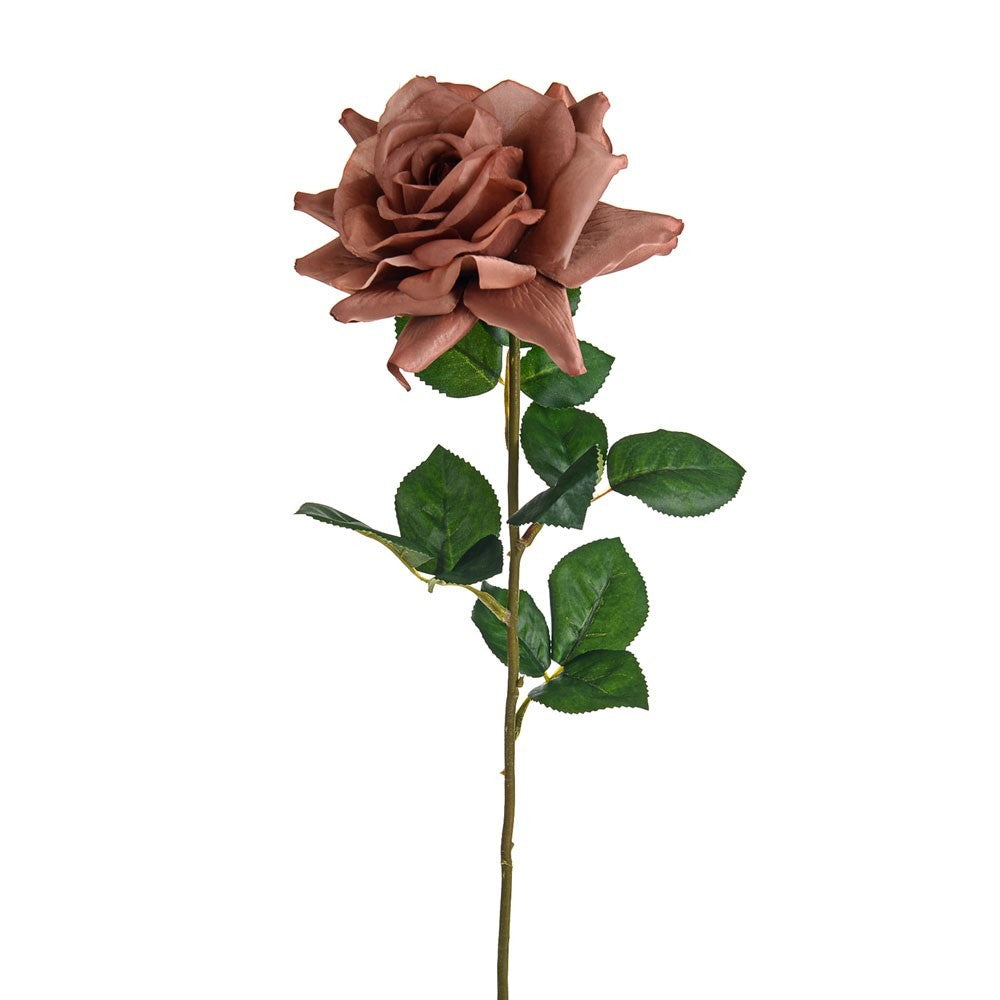 Russet Amelia Rose Stem