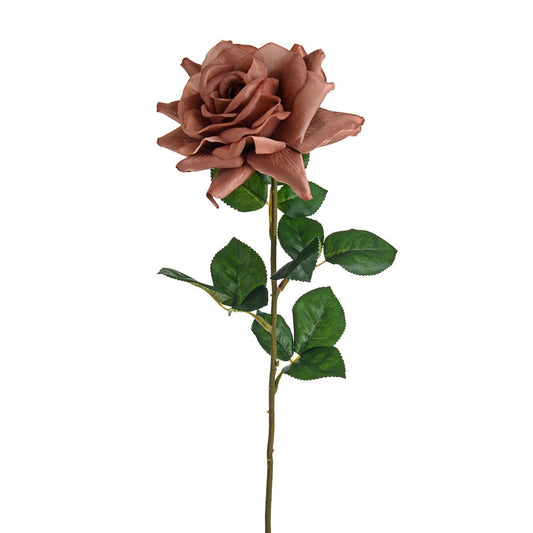 Russet Amelia Rose Stem