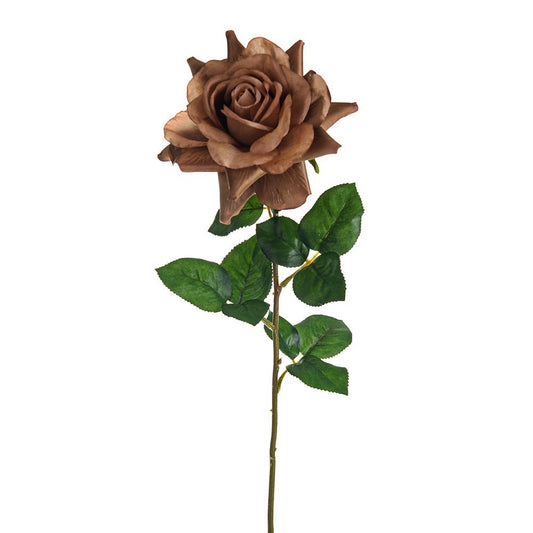 Caramel Amelia Rose Stem