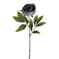 Light Grey Amelia Peony Stem