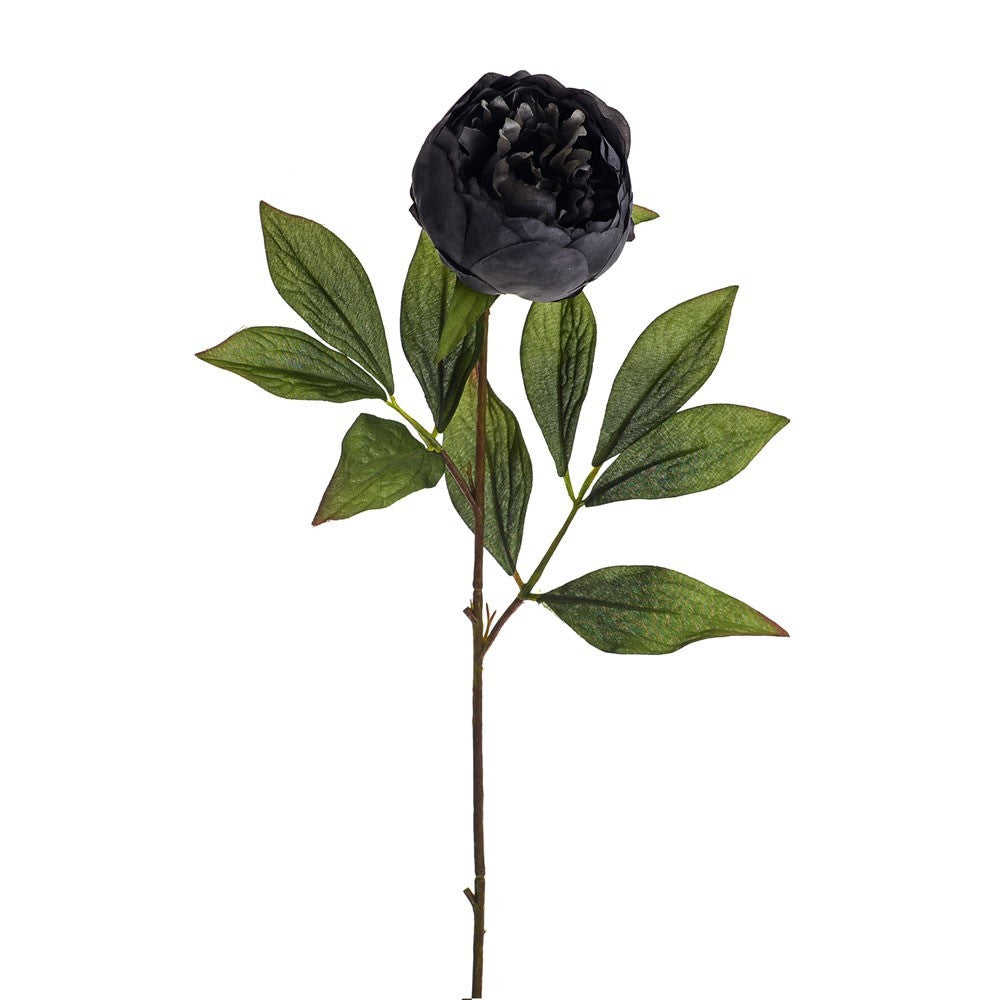 Dark Grey Amelia Peony Stem