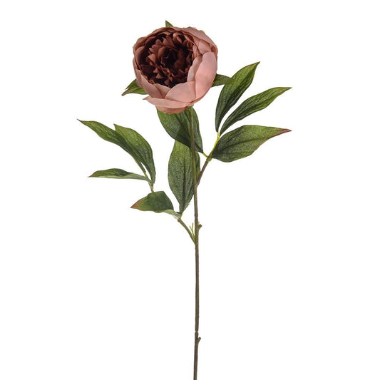 Russet Amelia Peony Stem