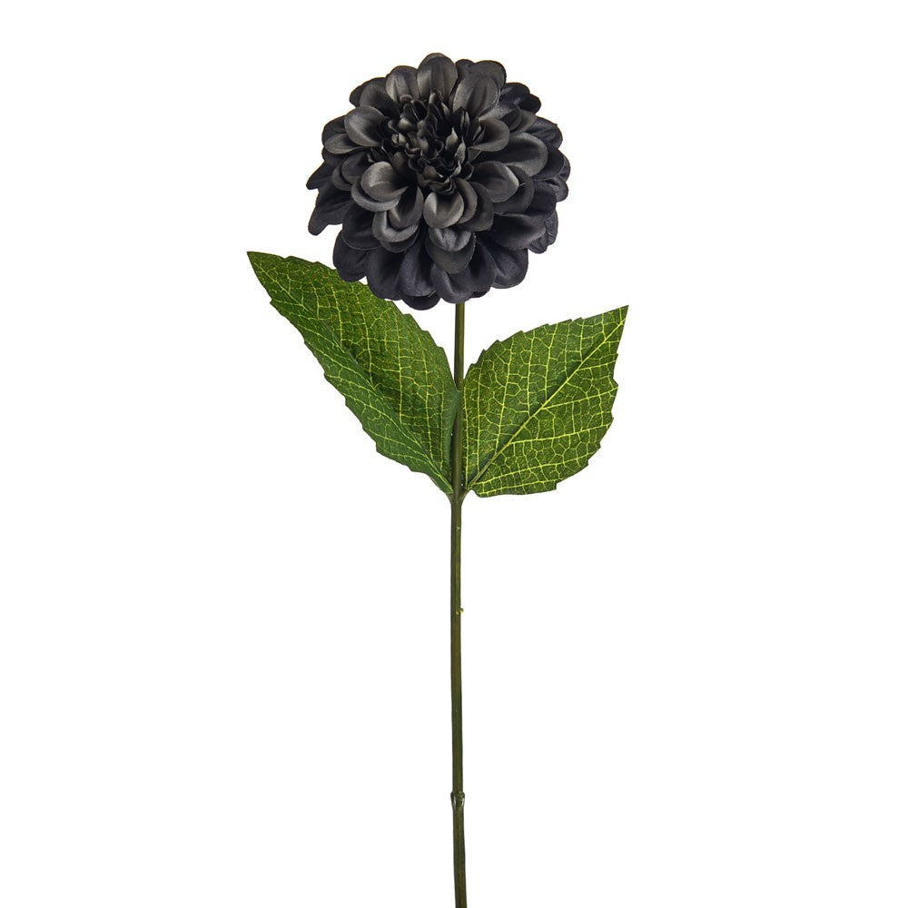 Dark Grey Amelia Zinnia Stem