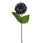 Dark Grey Amelia Zinnia Stem