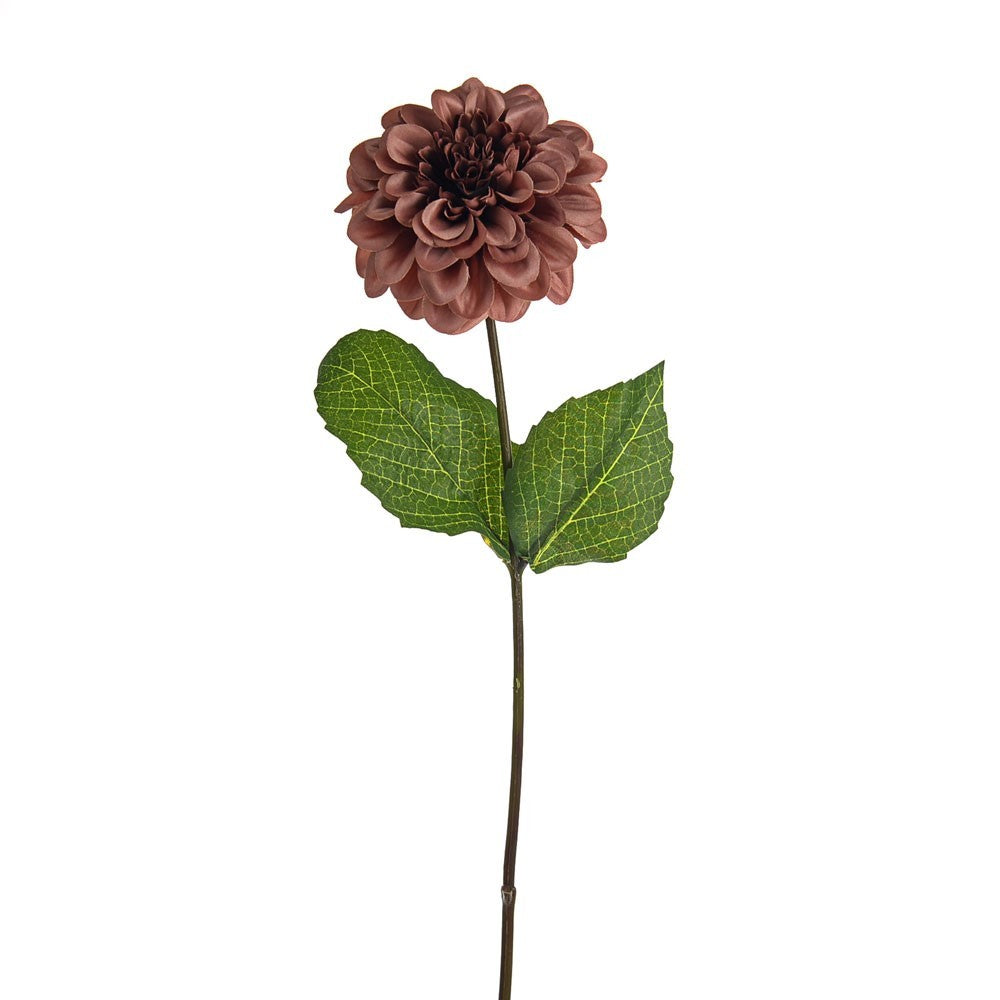 Russet Amelia Zinnia Stem