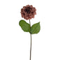 Russet Amelia Zinnia Stem