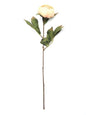 Discover the Antique Peach Eternity Peony Stem (60cm) at Bristow Direct
