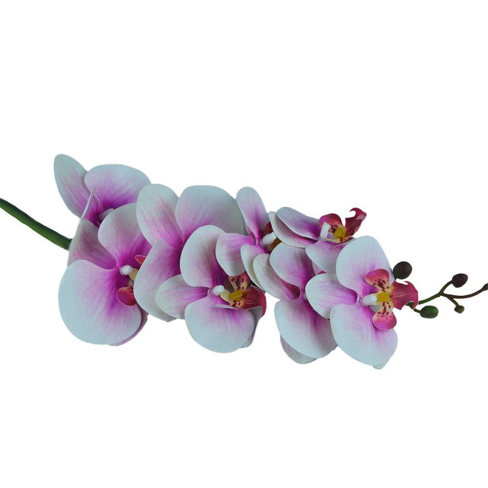 Discover the Pink Orchid Stem (80cm) at Bristow Direct