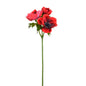 Discover the Red Anemone Spray (46cm) at Bristow Direct