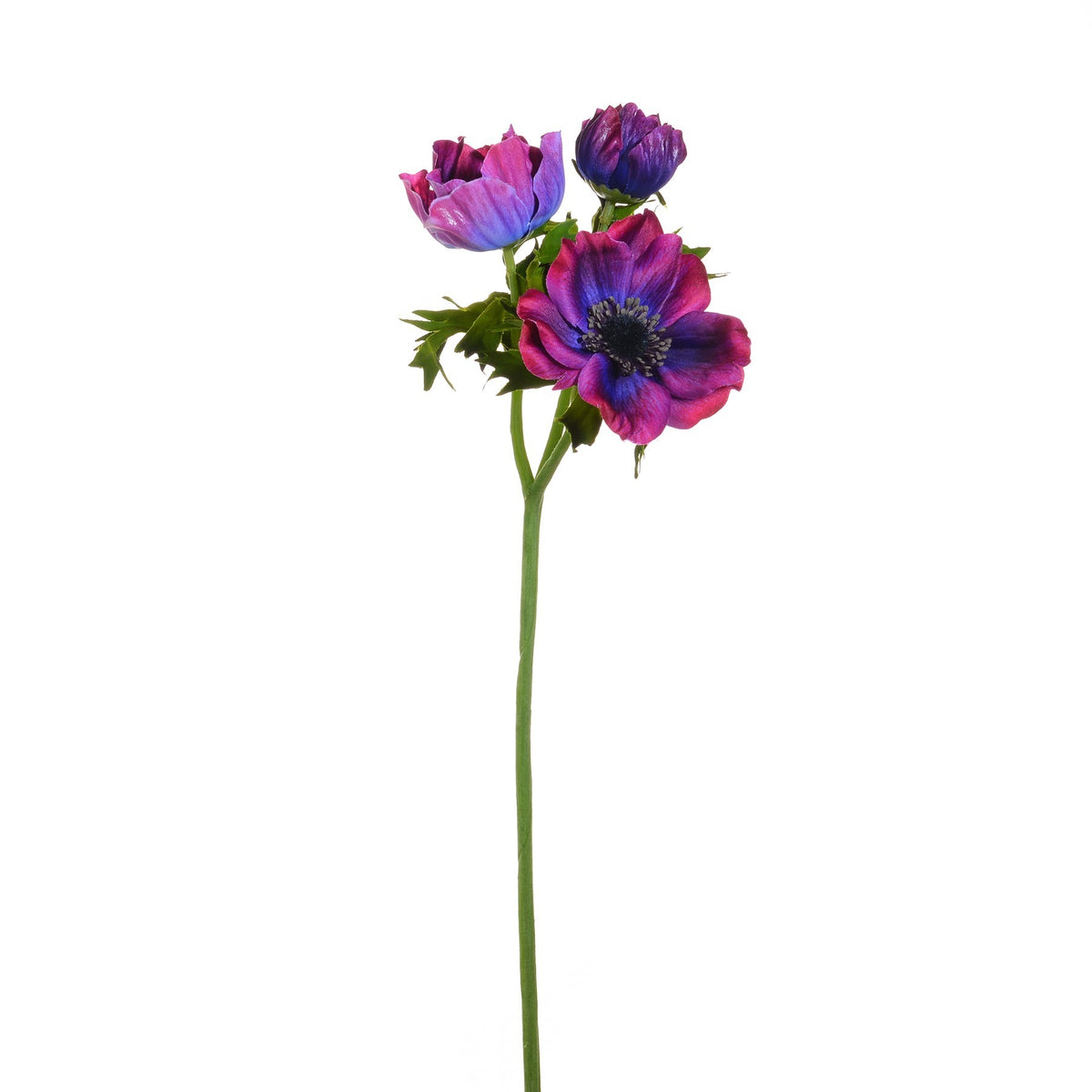 Discover the Purple Anemone Spray (46cm) at Bristow Direct