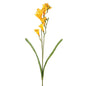 Yellow Freesia Spray 2 Heads (69cm)