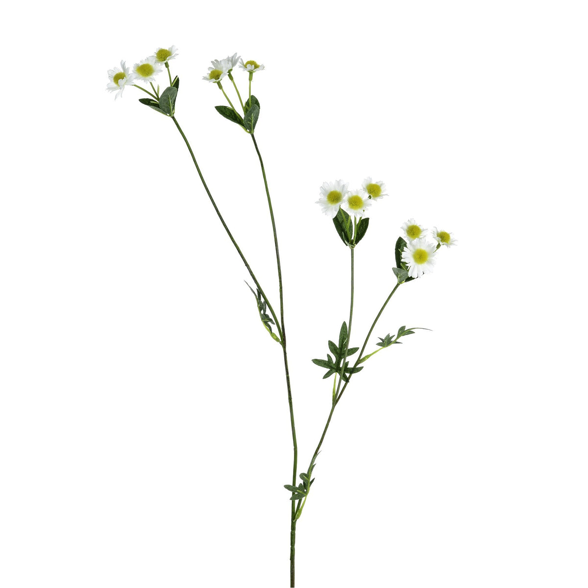 Discover the White Mini Daisy Spray (59cm) at Bristow Direct