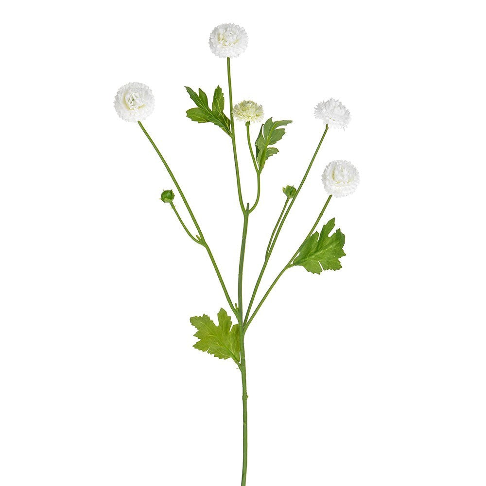Discover the Cream Aster Spray (64cm) at Bristow Direct