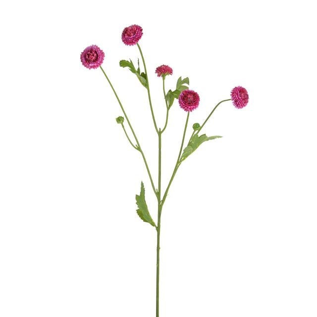 Discover the Pink Aster Spray (64cm) at Bristow Direct